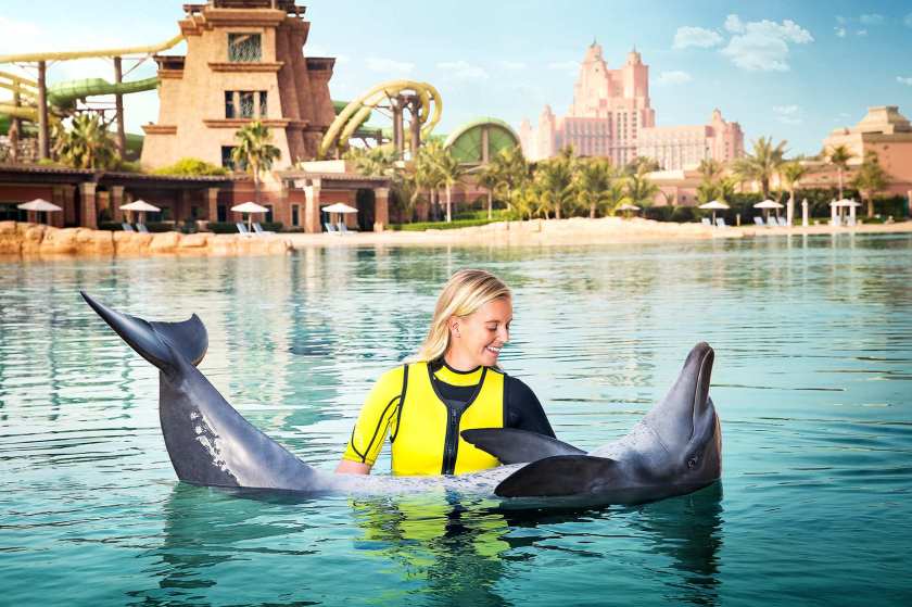 Dubai-Dolphin-Bay