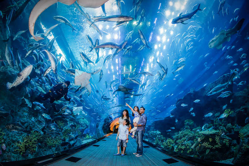 Dubai-Mall-Aquarium-dubaidailytours